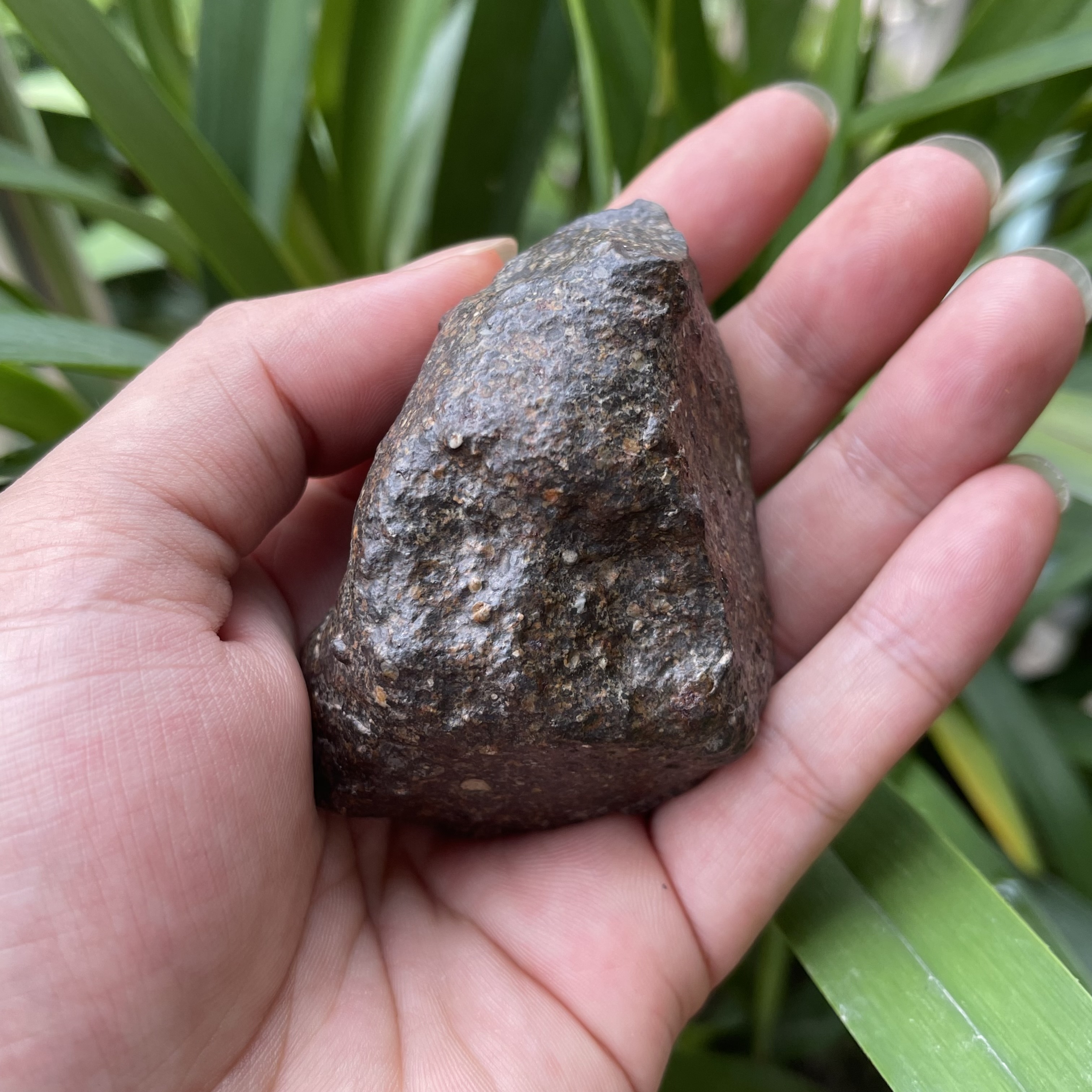 毛里塔尼亚 普通球粒陨石L6型