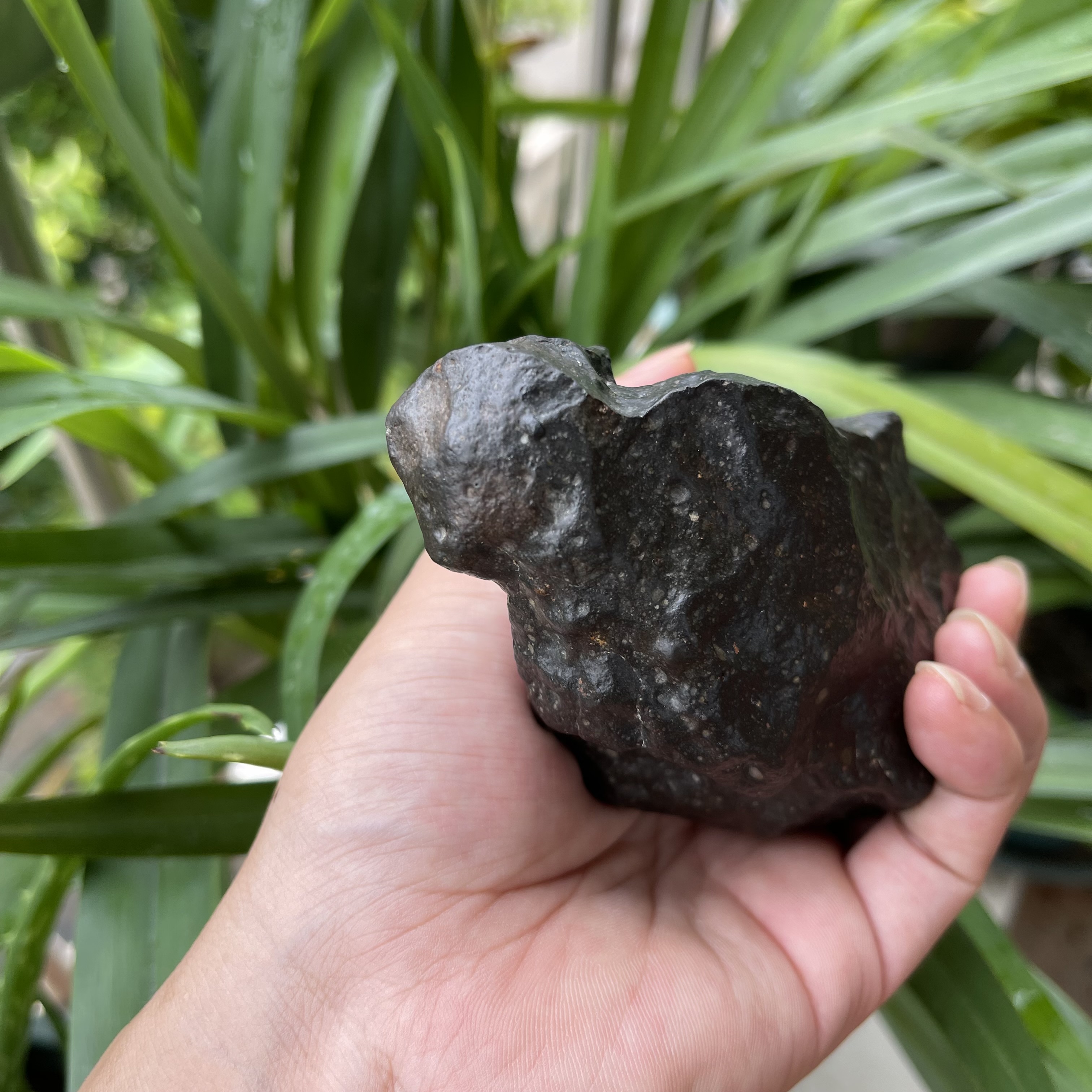 Rumuruti陨石主体