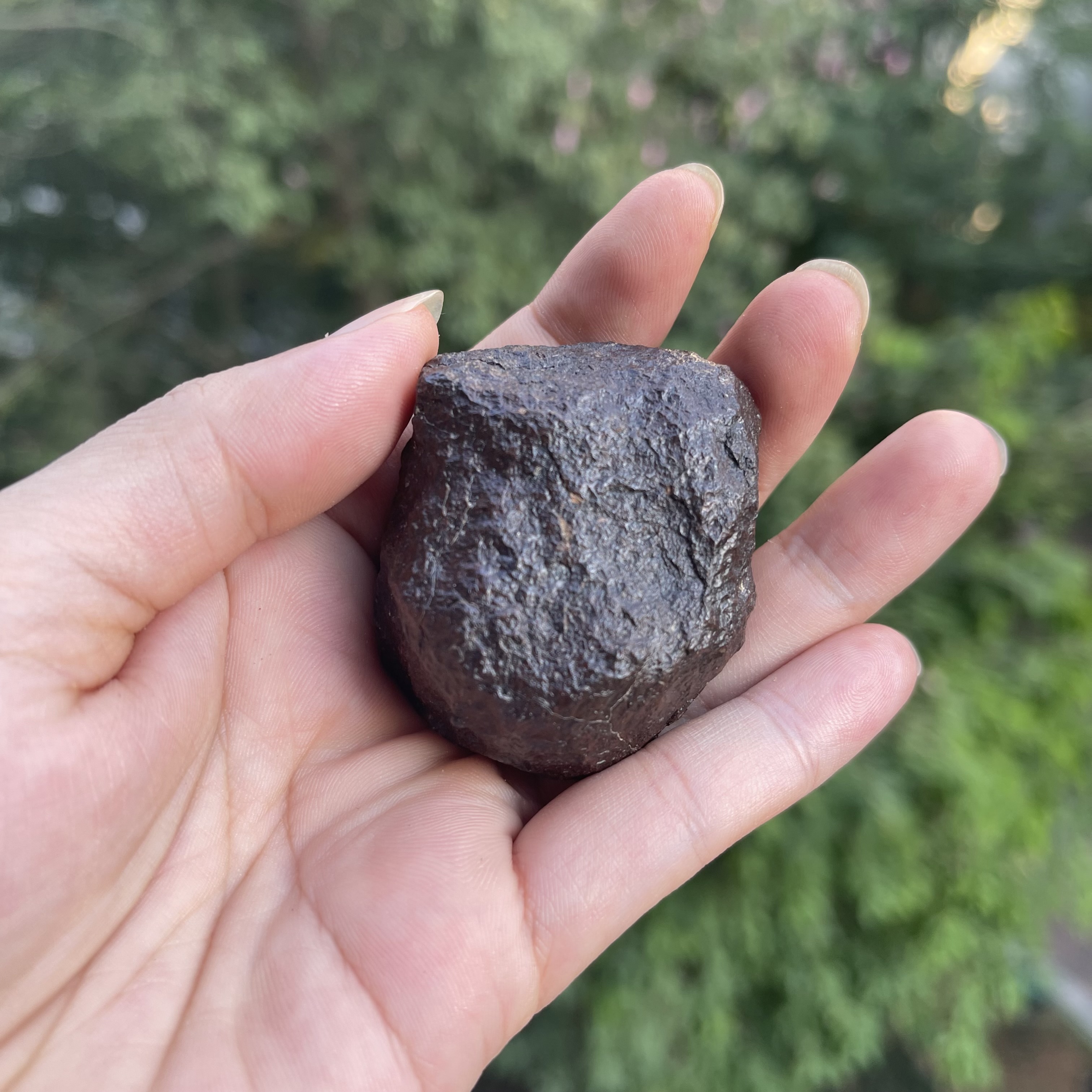 策勒戈壁滩陨石